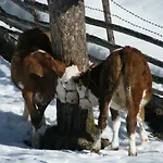 Gospodarstwo agroturystyczne Hintereggerhof *