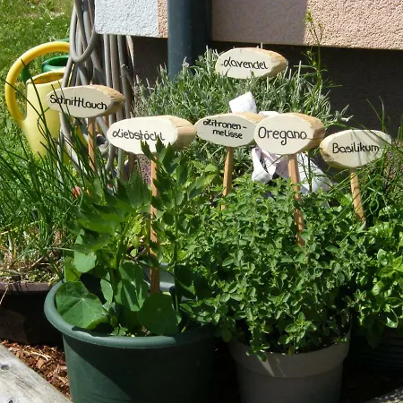 Hintereggerhof Pruggern