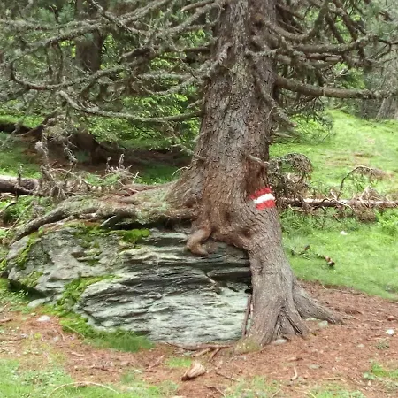 Hintereggerhof * Pruggern