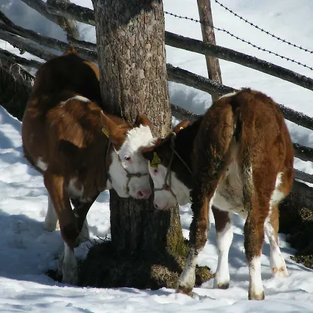 Farma Hintereggerhof *