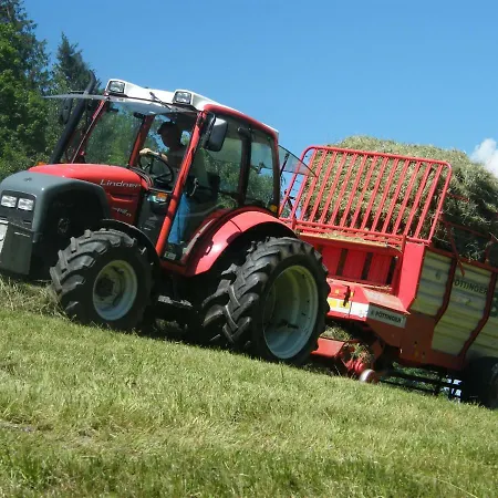 Vakantieboerderij Hintereggerhof Pruggern