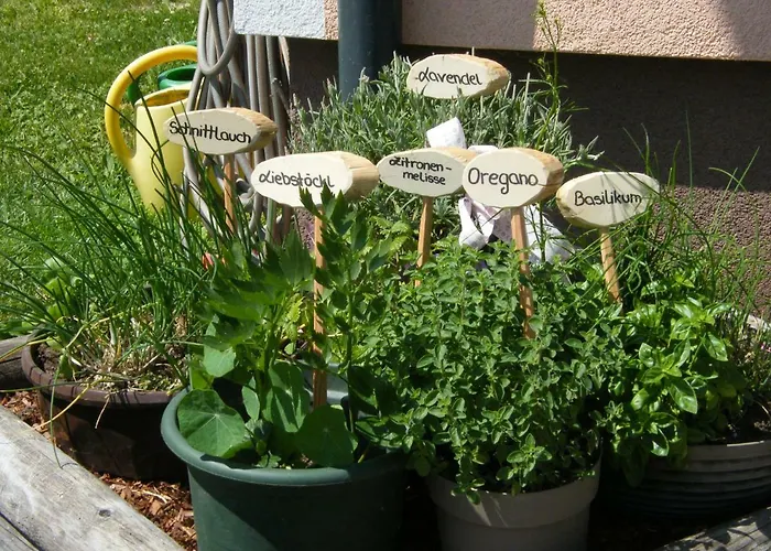 Hintereggerhof Pruggern