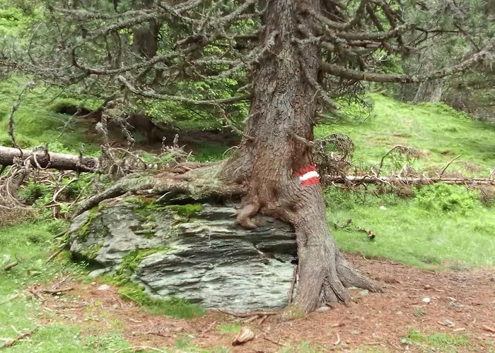 Hintereggerhof * Pruggern