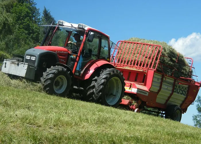 Farm stay Hintereggerhof Pruggern